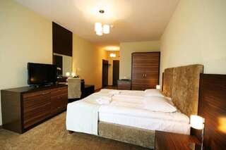 Отель Hotel Moran & SPA Повидз Улучшенный двухместный номер с 1 кроватью или 2 отдельными кроватями-3
